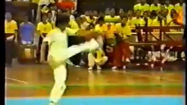 Мастер класс Дитан-цюань - падающий кулак