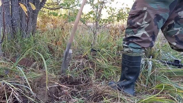 НАШЕЛ ПОЛЯНУ С МЕТАЛЛОМ И НАКОПАЛ. ЗДЕСЬ РАЗБИРАЛИ ТЕХНИКУ. смотреть онлайн