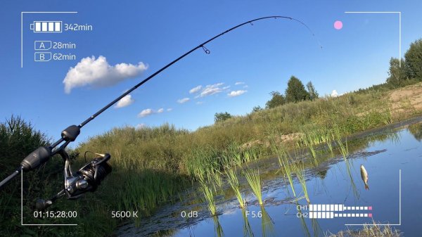 Спиннинг Dayo Nano Predator JigSeries. Нижний тест в мормышинге.