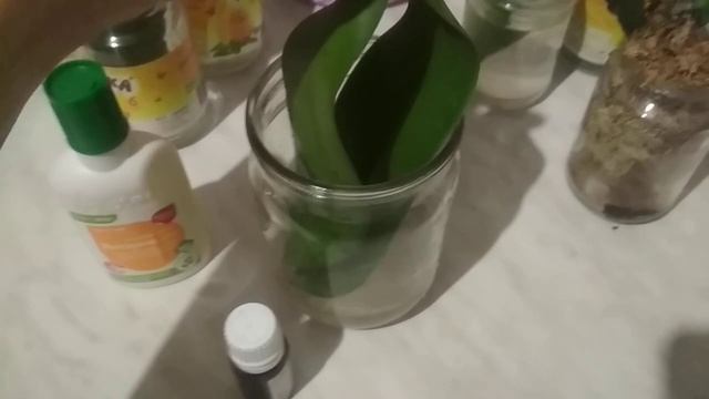 Янтарная кислота+ДЗ!Как нарастить корни реанимашке! смотреть онлайн