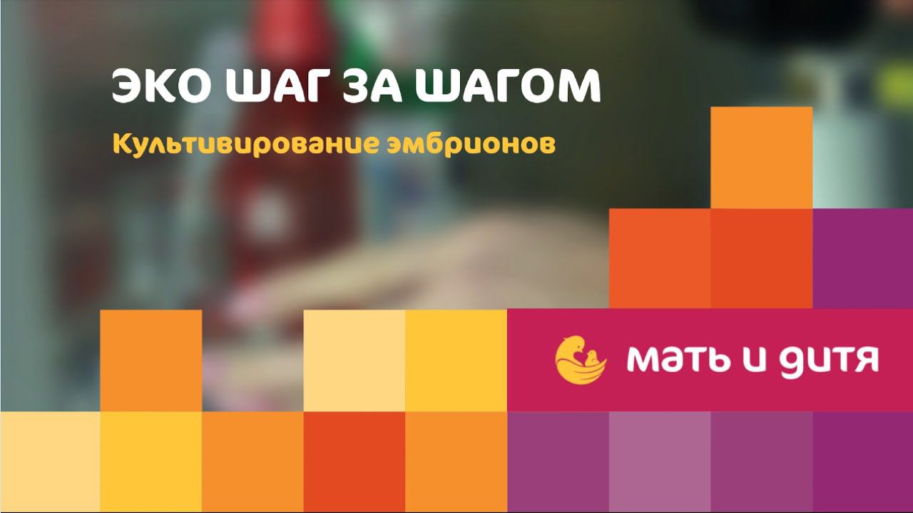 ЭКО шаг за шагом. Культивирование эмбрионов смотреть онлайн