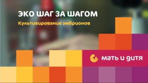 ЭКО шаг за шагом.  Культивирование эмбрионов