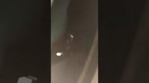 снять задний барабан ниссан навара