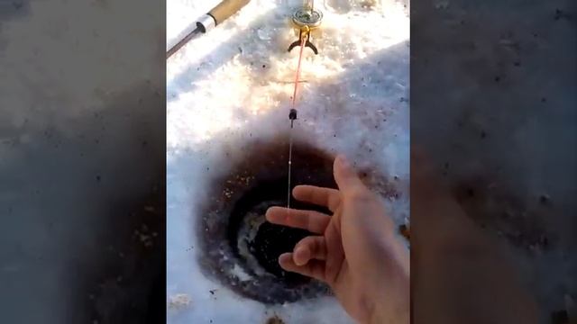 03.03.2019г Красноярское море залив Щумиха смотреть онлайн