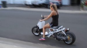 Honda ruckus / zoomer 49cc скутер для наших дорог