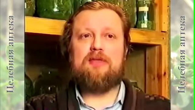 Одуванчик лекарственный часть 2