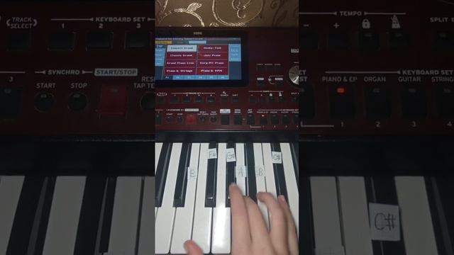 Dance Monkey - piano tutorial 🎹🎹🎹 смотреть онлайн