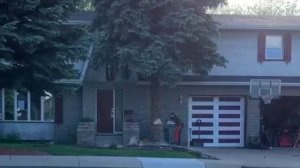 Почему нельзя сажать ель возле дома?