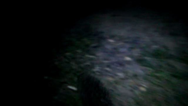 Охота на Ежей или полуночный гость! смотреть онлайн