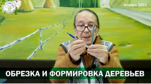 Тонкости обрезки и формировки плодовых деревьев. Светлана Дмитриевна Айтжанова отвечает на вопросы.