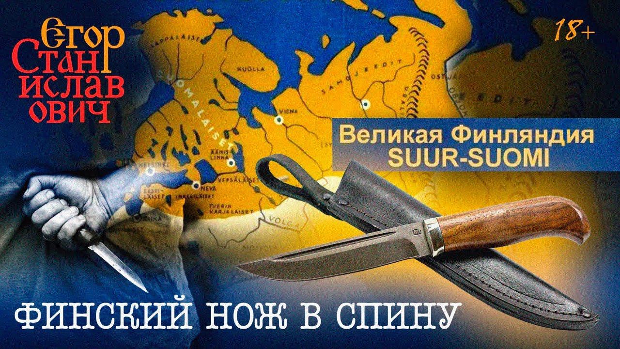 89. Зачем Финляндии НАТО? // Егор Станиславович смотреть онлайн