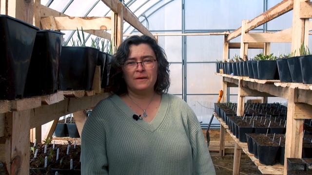 Что нового в Репейнике? Февраль-Март смотреть онлайн