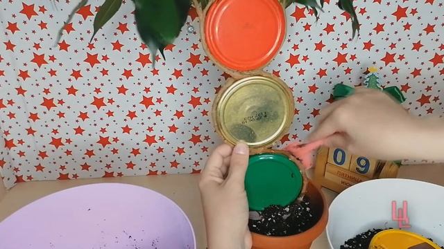 будни цветовода| болталка| фикус упал| даня светофор: пересадка, поправка смотреть онлайн