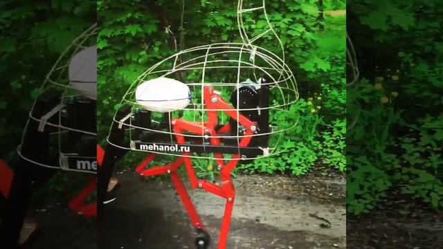 шагающий страус смотреть онлайн