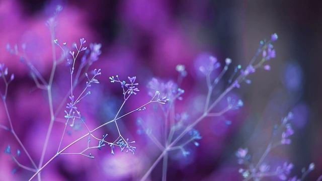 Ты не оставлен радостью сердечной смотреть онлайн