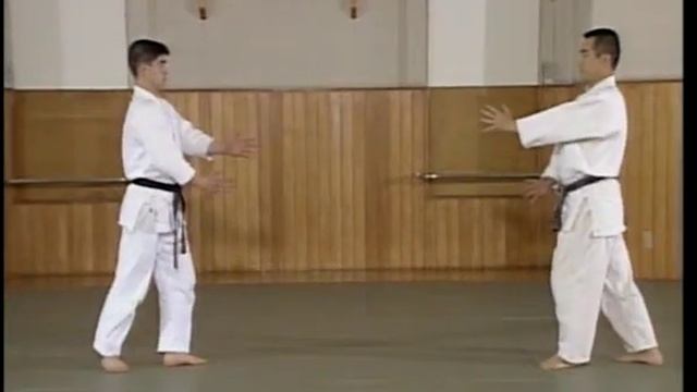 shomen uchi shihonage (1)_01.mpg смотреть онлайн