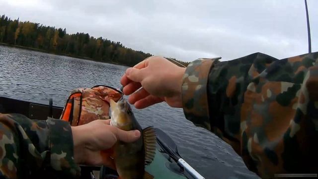 Отличная щука на лайт спиннинг с тестом 2-12гр !!! смотреть онлайн