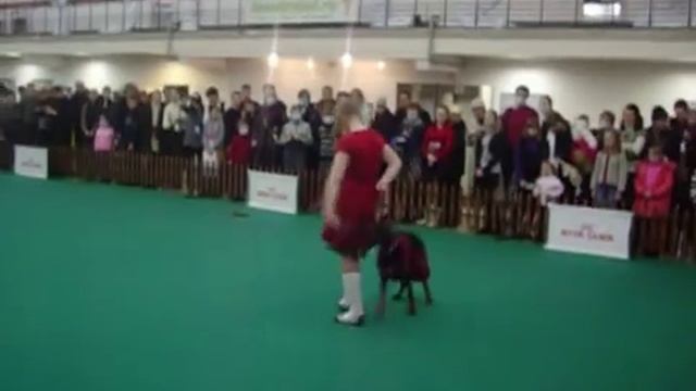 Фристайл ВПЕРВЫЕ в г.Перми 30.01.2011г "Огни Прикамья-2011" смотреть онлайн