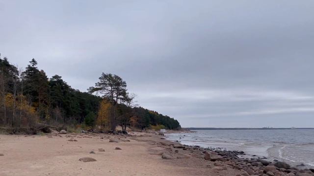 Отдых в загородном отеле "Репинская" смотреть онлайн