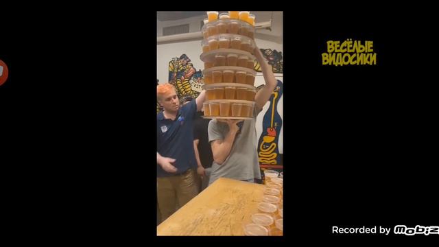 Весёлые видосики