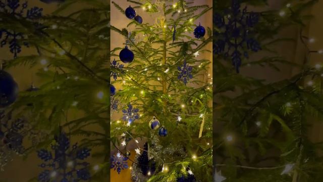 Наша Ёлка 2023-2024 смотреть онлайн