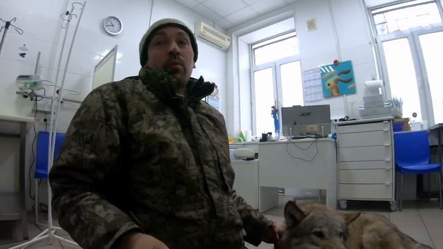 Хук в Москве (часть 2) Помощь Животным смотреть онлайн