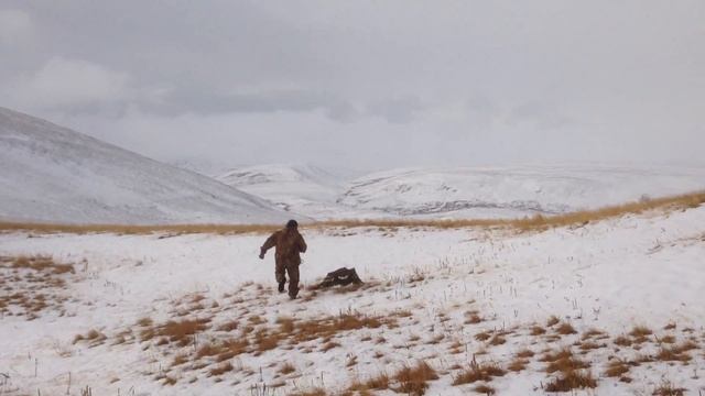 Беркут, Горный Алтай, смотреть онлайн
