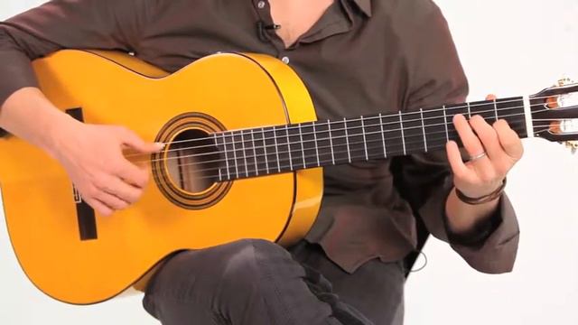 Sunburst Bundle with Gig Bag, Tuner, Strings, Strap, and Picks - Review 2018 смотреть онлайн