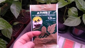 атлет , как использую и почему