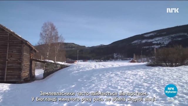 Може бути впольовано занадто багато рисіDet kan felles for mange gauper смотреть онлайн