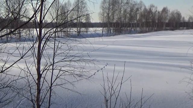 Уже пахнет весной... смотреть онлайн
