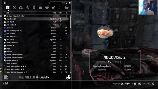 Let's Play The Elder Scrolls V: Skyrim Anniversary Part 416: Fish Gathering смотреть онлайн