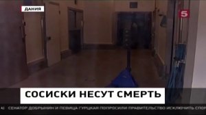 Сейчас (Пятый Канал 13.08.2014 12:00)