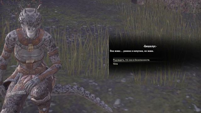 ESO прохождение (№4)