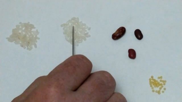 8 класс Мозайка 1 Практическая работа 1 часть