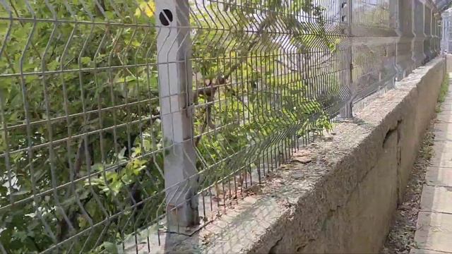 Ялта - Ливадия. Ужасные набережные, заброшенные, забытые людьми и Богом.