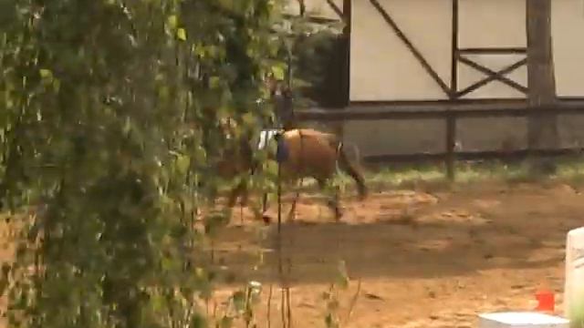 Конкукр 17.07 смотреть онлайн