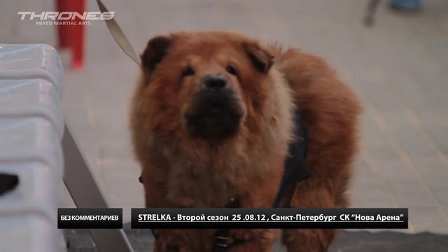 без комментов: STRELKA Второй cезон СК "Нова Арена" смотреть онлайн