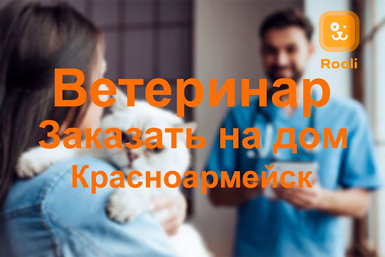 Ветеринар в Красноармейске: Работа о здоровье вашего питомца в надежных руках смотреть онлайн