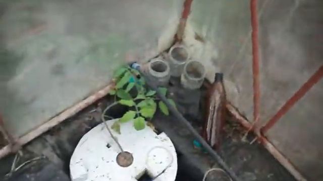 03.06.2018 г. гидропоника на даче смотреть онлайн
