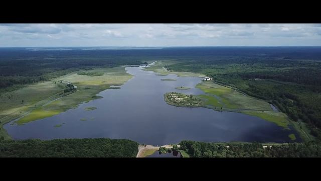 Беловежская пуща с высоты птичьего полета смотреть онлайн