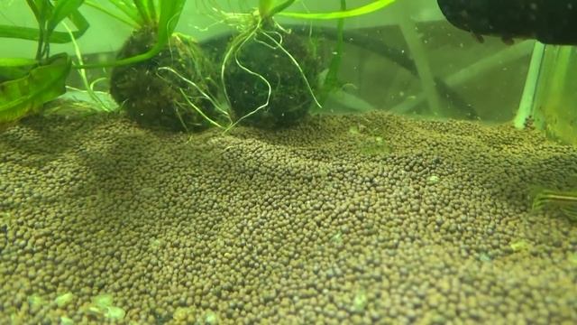 Пропант, грунт для аквариума. смотреть онлайн