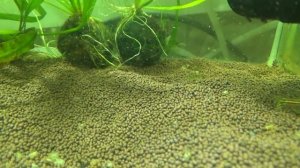 Пропант, грунт для аквариума.