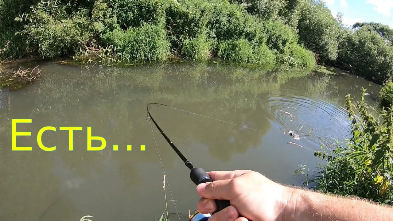 Сборник поклевок ЯЗЯ!!! смотреть онлайн