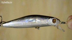 Обзор воблера Pontoon 21 CrackJack 78 SP-SR