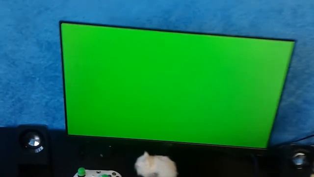 ACER SA240YBID - ОТЛИЧНЫЙ НЕДОРОГОЙ МОНИТОР C IPS МАТРИЦЕЙ смотреть онлайн