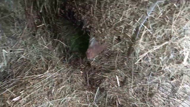 МАЛЬЧИК В 13 ЛЕТ ОДИН СОДЕРЖИТ ХОЗЯЙСТВО смотреть онлайн