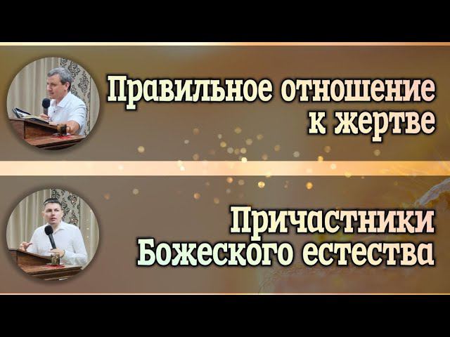 Правильное отношение к жертве. смотреть онлайн