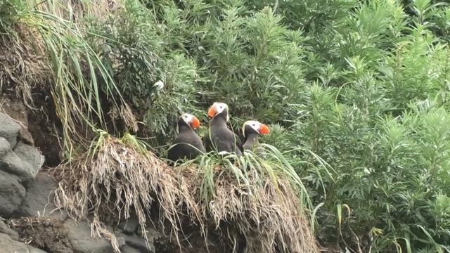 камчатка 2 часть смотреть онлайн