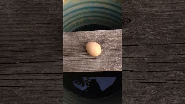 #Z Анекдот ОБХАХОЧЕШСЯ слушать только женщинам смотреть онлайн